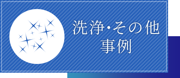 洗浄・その他事例